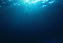 Wasser sparen: Warum es wichtig ist und wie Sie es in Ihrem Alltag umsetzen können