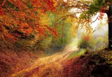 Was ist Nachhaltigkeit?